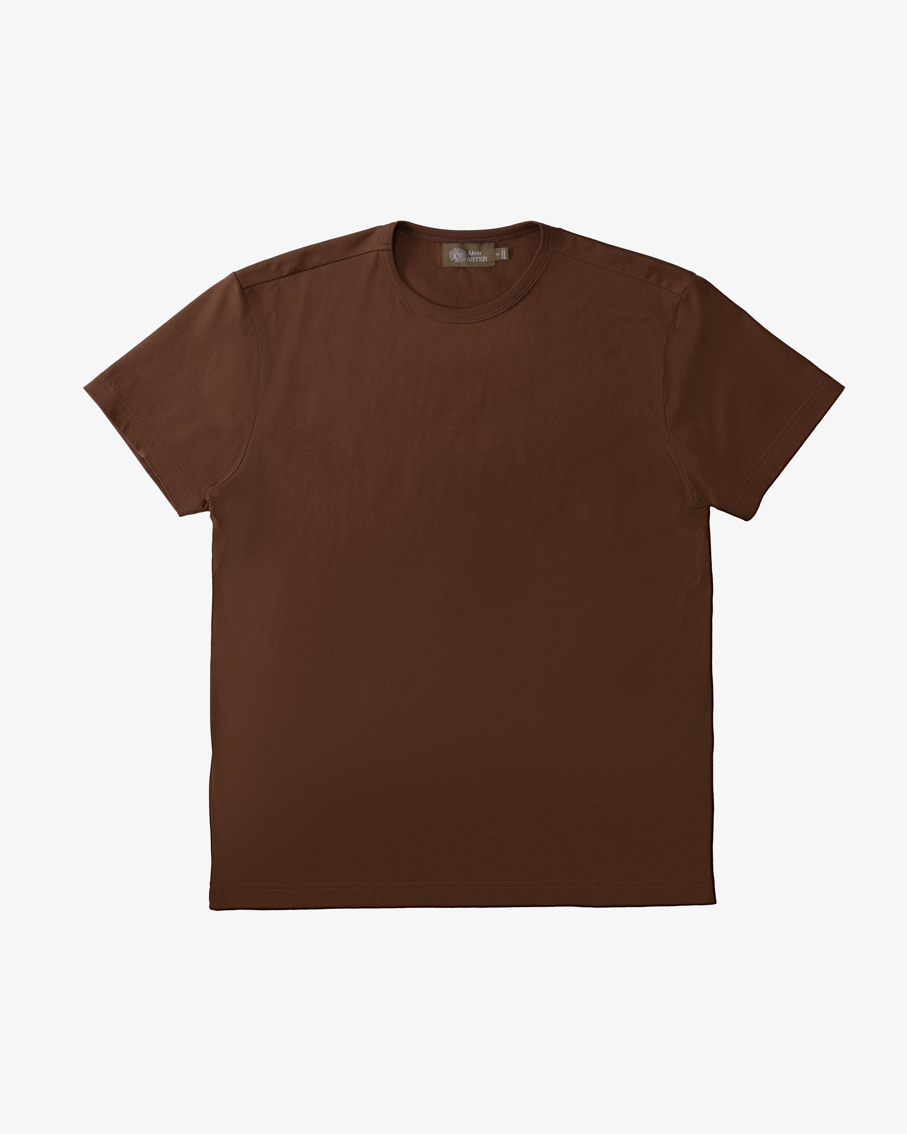 VINTAGE CREW T-SHIRT in CEDAR BROWN